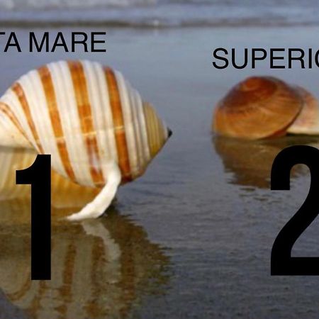 דירות מרינה די קררה La Conchiglia A Marina מראה חיצוני תמונה