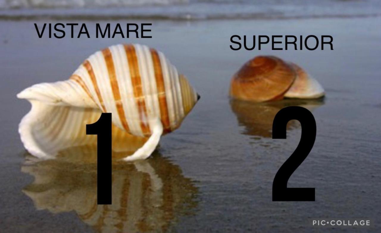 דירות מרינה די קררה La Conchiglia A Marina מראה חיצוני תמונה